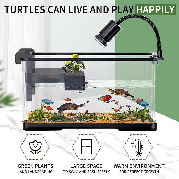 (Tank + Light + Filter Balls) Turtle Tank Kit, Turtle Tank Starter Ki