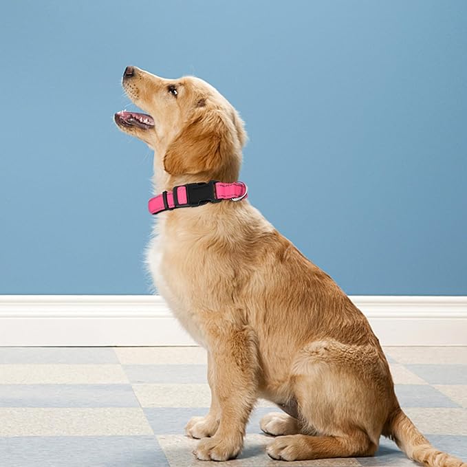 Reflective Dog Collar, Adjustable Soft Neoprene Padded Nylon Pet Collars with Buckle for Medium Dogs, Hotpink,M