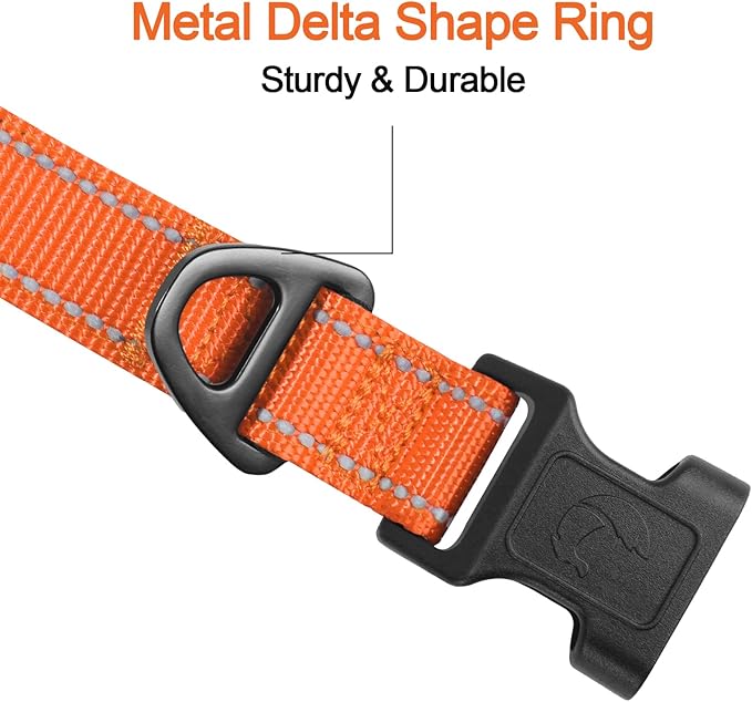 Joytale Reflective Dog Collar, Soft Neoprene Padded, Metal D-Ring, Nylon Pet Collar Adjustable for Large Dogs, Orange, L
