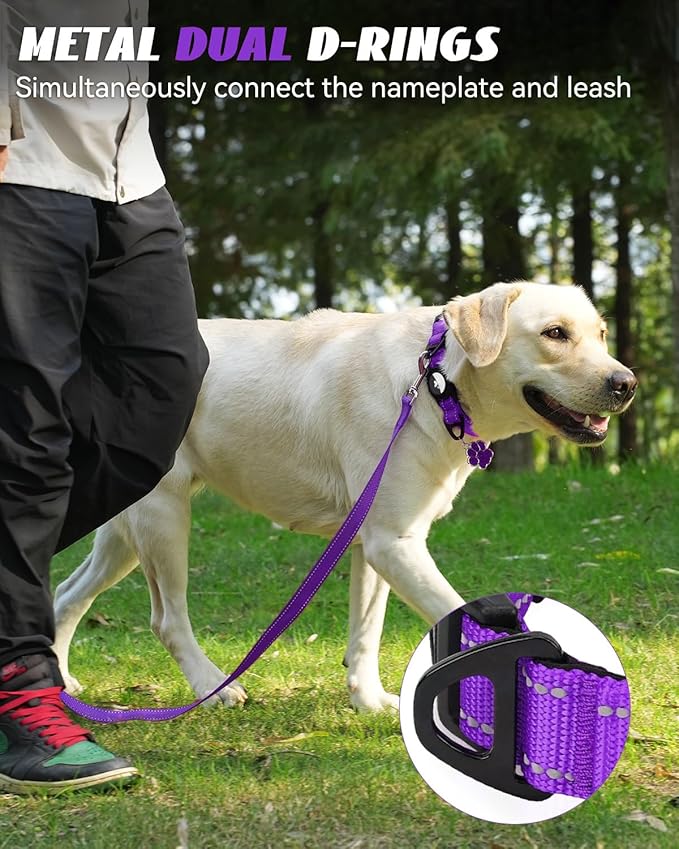Joytale Airtag Dog Collar, Reflective Pet Collar with Waterproof AirTag Holder, Dual D-Rings, Soft Padded Adjustable for Large Dogs, Purple, L