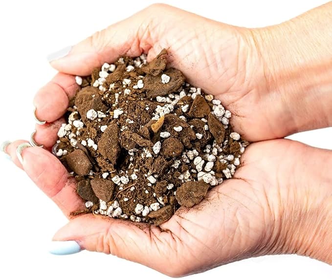 GARDENERA Palm Tree Potting Mix - The Ultimate Soil for Strong and Healthy Palms - Top Choice for Palm Tree Growers ? [20 Quart Bag]
