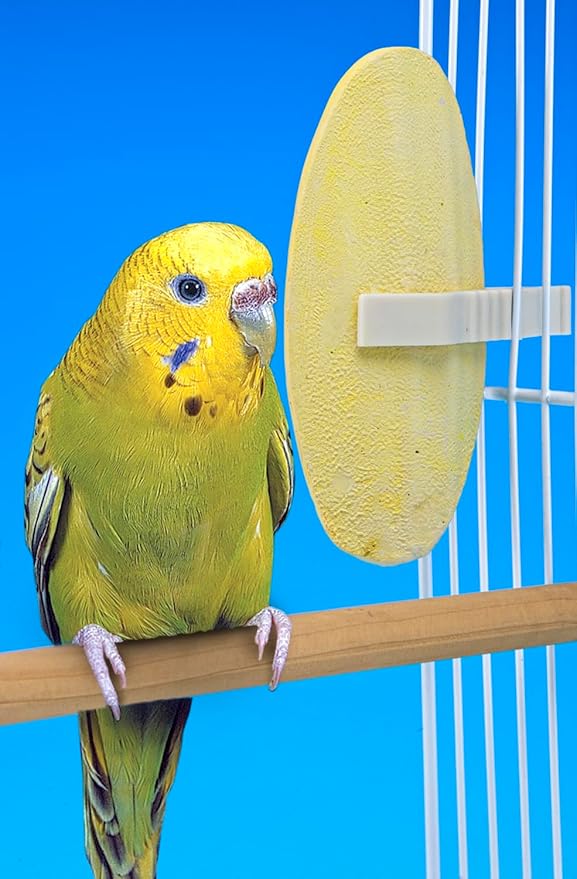 Penn-Plax Bird-Life Flavored E Cuttlebone 6 Pack – Mango & Banana – Enriched with Omega 3 and Vitamin B1 – Great for All Birds