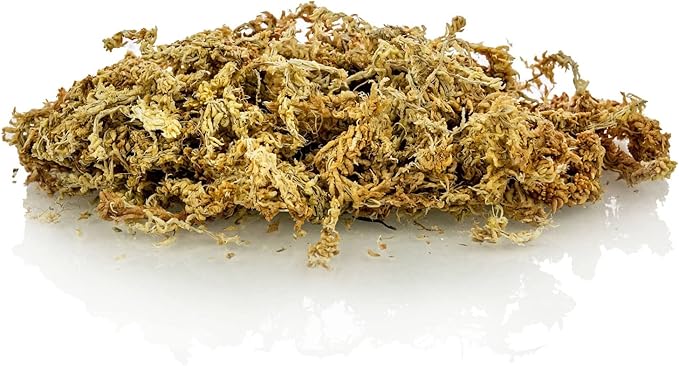 Gardenera Premium New Zealand Sphagnum Moss - Organic Hand Mixed Long Fibered Sphagnum Moss Orchid - 5 Quart