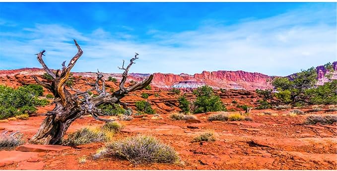 AWERT 30x12 inches Reptile Habitat Background Blue Sky Oasis Orange Desert Terrarium Background