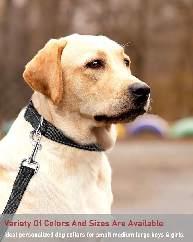 Reflective Dog Collar with Buckle Adjustable Safety Nylon Collars for Small Medium Large Dogs, Black L