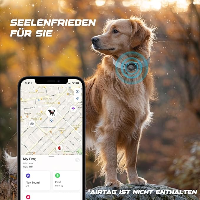 AirTag Dog Collar - Leather Dog Collar with Air Tag Holder | IPX8 Waterproof, Reflective, High - End, Adjustable Soft Padded | Dog GPS Tracker Collars Fit for Medium Large Dogs (Grey, M)