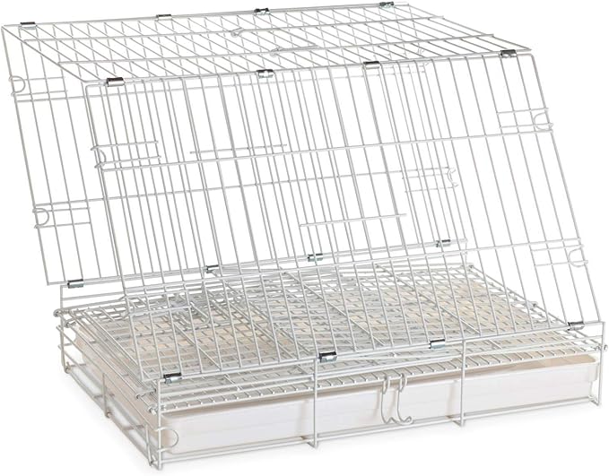 Easy Portable Foldable Travel Vet Bird Parrot Cage Carrier Handle with Stainless Feeder Bowls and Natural Wooden Stand Perch Prevent Beaks Out