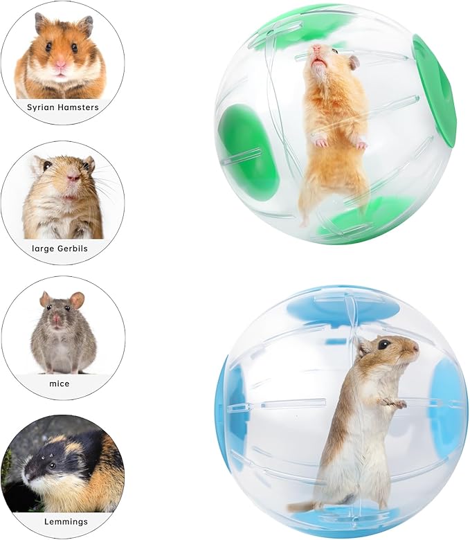 Hamster Exercise Ball, 7.9 Inch Syrian Hamster Ball, Transparent, Large Ball with Four entrances (Green)