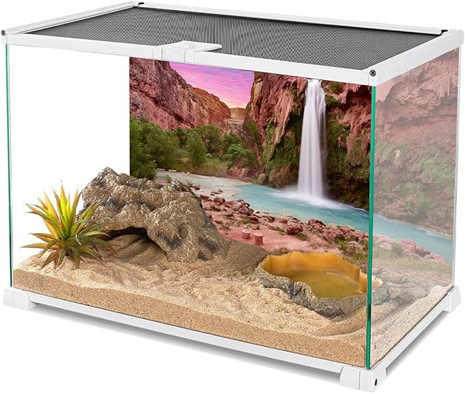 AWERT 24x12 inches Reptile Habitat Background Sunset Mountain Waterfall Terrarium Background Durable Polyester Background