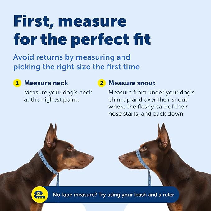 PetSafe Gentle Leader Headcollar No-Pull Dog Collar - Helps Improve Walks - Durable Nylon Construction - Padded Nose Loop - Adjustable Fit - Comfort Walking Halter - Medium, Deep Purple