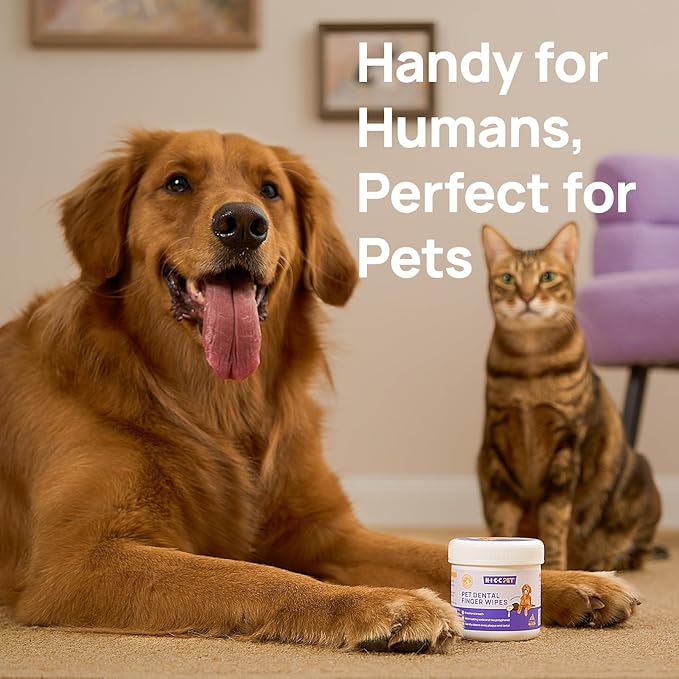 HICC Pet Teeth Cleaning Wipes for Dogs & Cats, Vet-Recommended Remove Bad Breath & Plaque & Tartar Buildup Dog Finger Toothbrush Wipes, Dog Tooth Brushing Kit Remove Stain & Gum Care for Small Animal