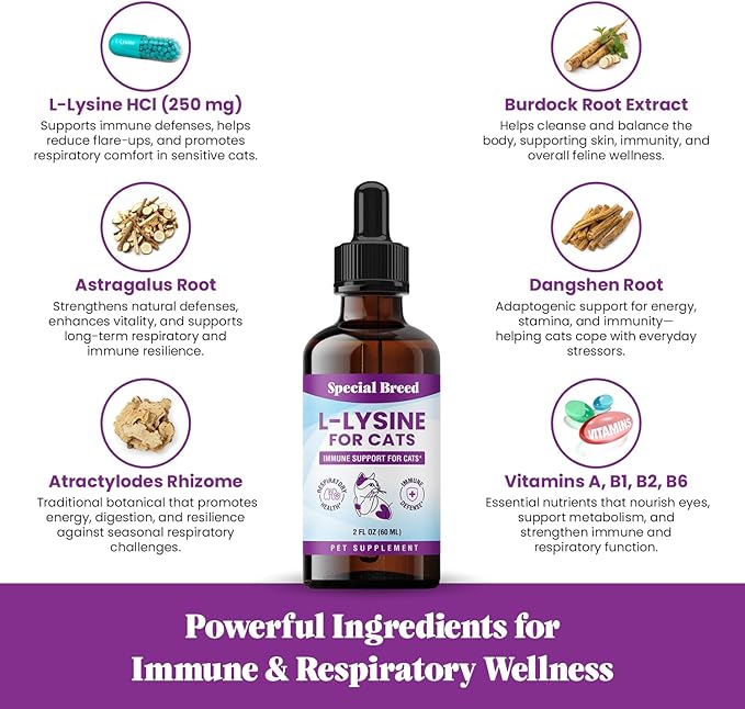 Special Breed L-Lysine for Cats & Kittens – Immune, Respiratory & Eye Health Support – Liquid Cat Supplement with Astragalus, Burdock, Atractylodes, Dangshen & Vitamins A, B1, B2, B6 – 2oz (60mL)