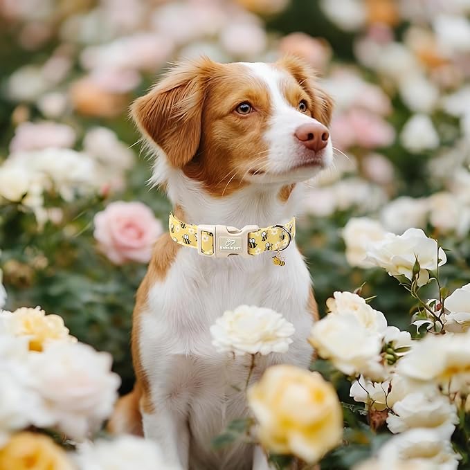 Bee & Daisy Dog Collar for Small Dogs - Spring/Summer Cartoon Yellow Dog Collars, Lightweight Adjustable Male Female Dogs Collars with Quick Release Buckle S