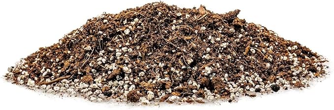GARDENERA Premium Organic Potting Soil - 1 Quart - The Ideal Growing Medium for Delicious and Nutritious Homegrown Potatoes