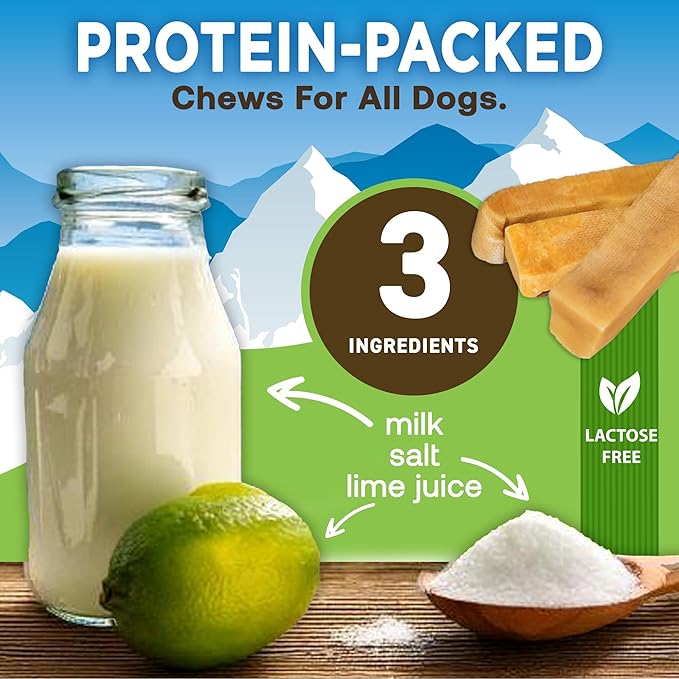 EcoKind Himalayan Gold Yak Cheese Dog Chew for Small Dogs, Healthy Dog Treats, Odorless, Long Lasting Dog Bones for Dogs, Rawhide Free, Made in The Himalayans, Small (Pack of 8)