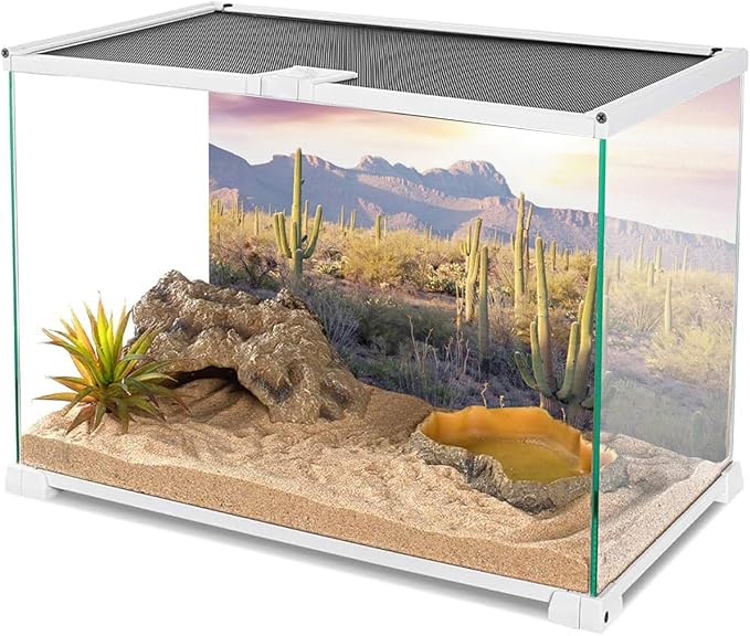 AWERT Reptile Habitat Background Blue Sky Oasis Mountain Cactus Sun and Desert Terrarium Background 48x24 inches