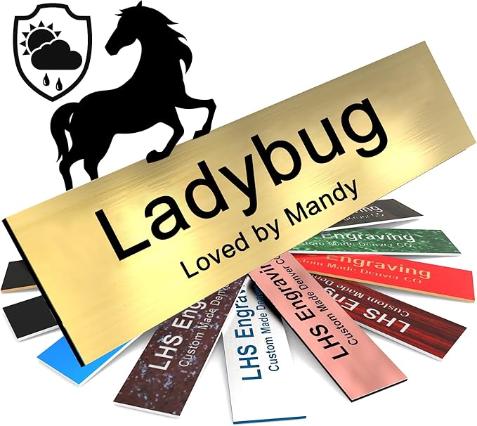 Horse Stall Name Plate, 2x6 Personalized Stall Signs, UV Protected, All Weather Adhesive, Hanging, Mounting or Other, Brushed Brass Plastic Black Letters - Made in USA - M6