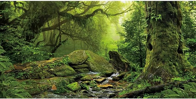 AWERT Tropical Forest Terrarium Background Stream Green Huge Tree Reptile Habitat Background Foggy Rainforest Aquarium Background 72x24 inches Durable Polyester Background