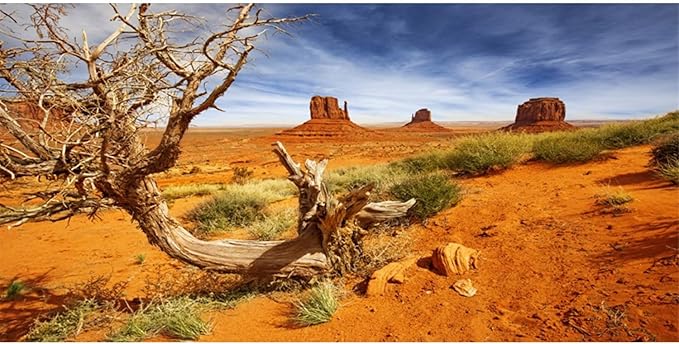 AWERT 60x24 inches Reptile Habitat Background Orange Desert Terrarium Background Durable Polyester Background