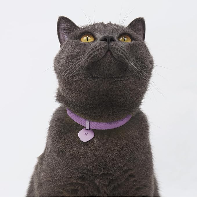 Safety Cat Collar and ID Tag Set - Elastic Quick Release, Non Breakaway Cat Collar Personalized Anodized Aluminum Pet Name Tag, Lightweight for Kitten and Small Large Cats