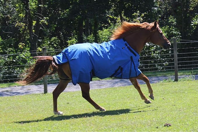 Derby Originals Nordic Tough 1200D Ripstop Waterproof Reflective Winter Horse Turnout Blanket 300g Heavy Weight, Royal Blue, 75"