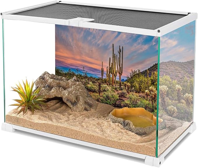 AWERT 24x16 inches Terrarium Background Blue Sky Cloud Huge Cactus Oasis Gobi Reptile Habitat Background Vinyl