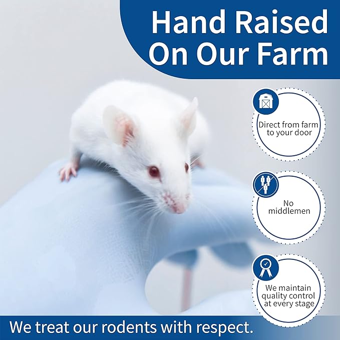 MiceDirect Frozen Mice Combo Pack of Small Pinkies & Pinkies Feeder Mice - Food for Corn Snakes, Ball Pythons, Lizards & Pet Reptiles-Freshest Snake Feed Supplies (0.5-1 in (Combo 100MSP & 50MLP))
