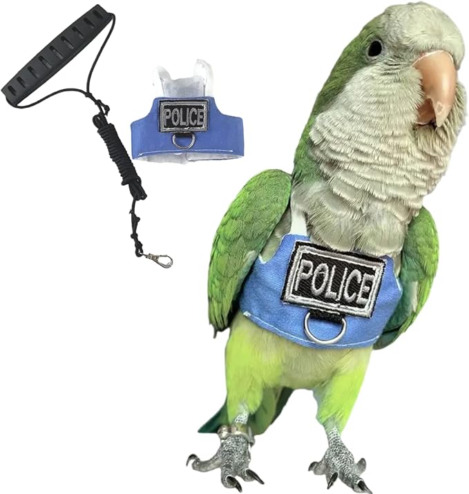 Bird Flight Harness Vest, Parrot Flight Suit with Leash, Bird Flying Clothes with Rope and Handle for Outdoor Activities (with Leash,Green-cheeked Conure)