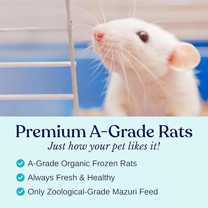 MiceDirect Frozen Rat Pups Snake Food - Frozen Rats for Snakes like Juvenile Ball Pythons, Adult Corn & Ball Pythons, Sub-Adult Red Tail Boas, Monitor, Lizards, Birds of Prey - 2.5-3.5 in (75 Count)