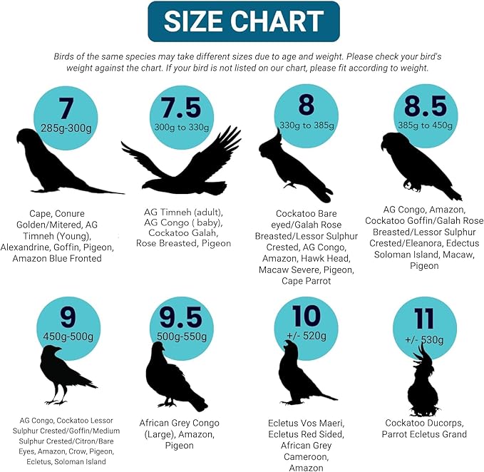 Bev's Bird Boutique Regular Flyper Adjustable Bird Diaper | Reusable, Washable Cloth | Comfort Fit for Parrot, Cockatiels, & Other Small Birds | Fashionable Avian Accessories, Pirate, Size 7