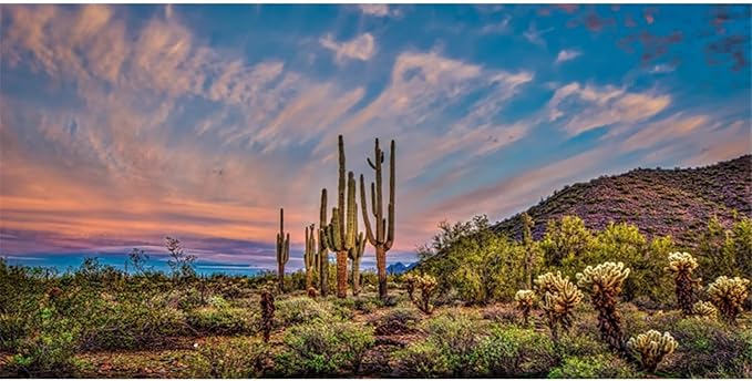 AWERT 72x18 inches Terrarium Background Blue Sky Cloud Huge Cactus Oasis Gobi Reptile Habitat Background Vinyl