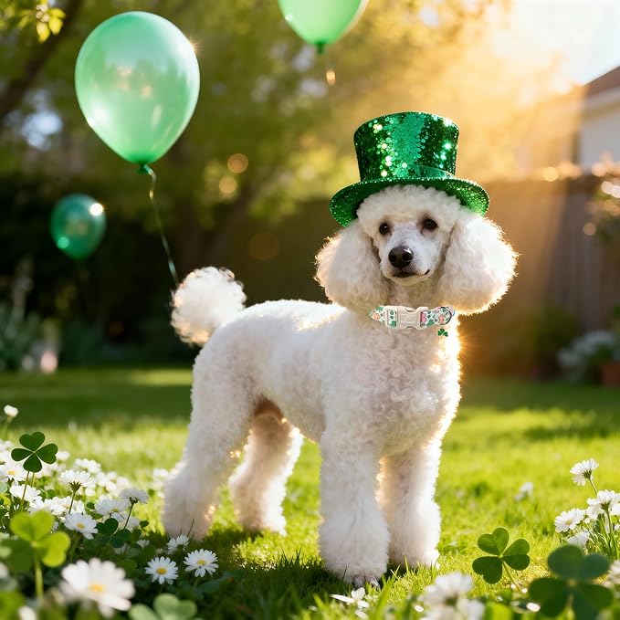 St Patricks Day Dog Collar for Large Dogs - Cute Pastel Lucky Clover Dog Collars, Lightweight Adjustable Irish Green Festival Dogs Collars with Quick Release Buckle L