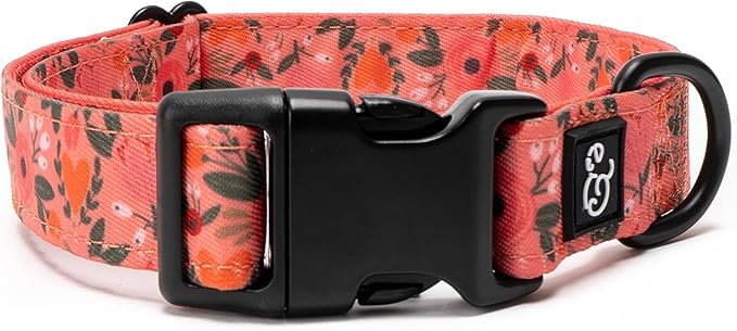 Lucy & Co. Posy Pink Dog Collar - Durable Lightweight Designer Collar for Pets - Adjustable Metal Safety Buckle - Coral Pink Floral - Large