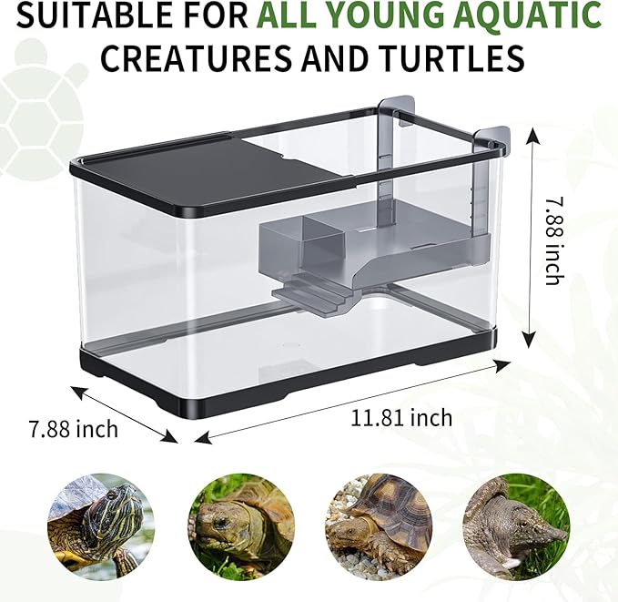 (Tank + Light + Filter Balls) Turtle Tank Kit, Turtle Tank Starter Ki