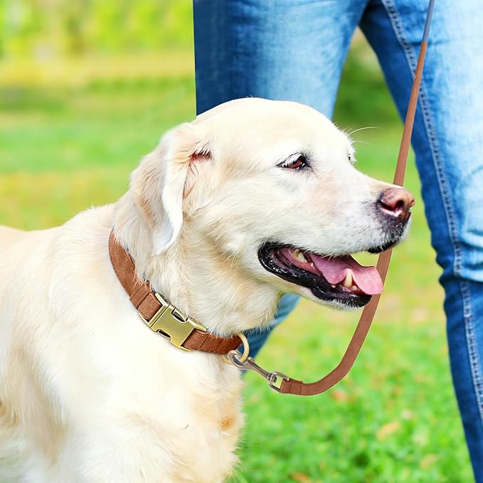 Genuine Leather Dog Collar - Adjustable Pet Collar with Quick Release Metal Buckle, Soft Skin Friendly Real Leather Collar for Small, Medium, Large Dogs (Khaki, L：Fit 15-23" Neck)