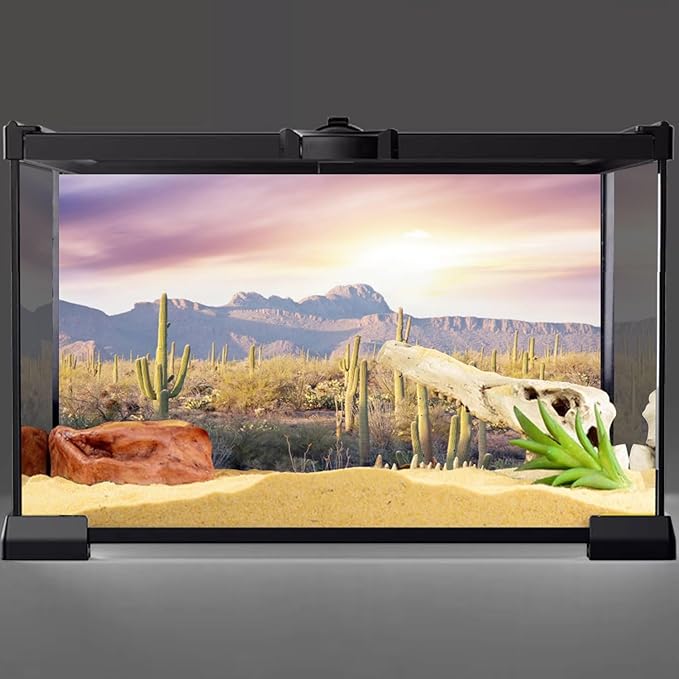 AWERT Reptile Habitat Background Blue Sky Oasis Mountain Cactus Sun and Desert Terrarium Background 30x12 inches