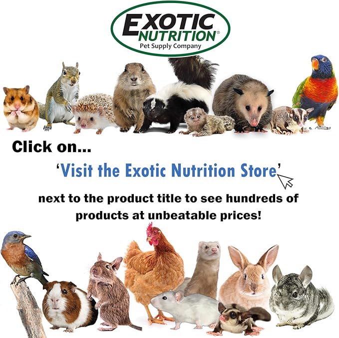 Exotic Nutrition Green Pea Flakes 3oz. - Healthy & Unique Treat - Rat, Degu, Prairie Dog, Chinchilla, Hedgehog, Parrot, Guinea Pig, Rabbit, Hamster