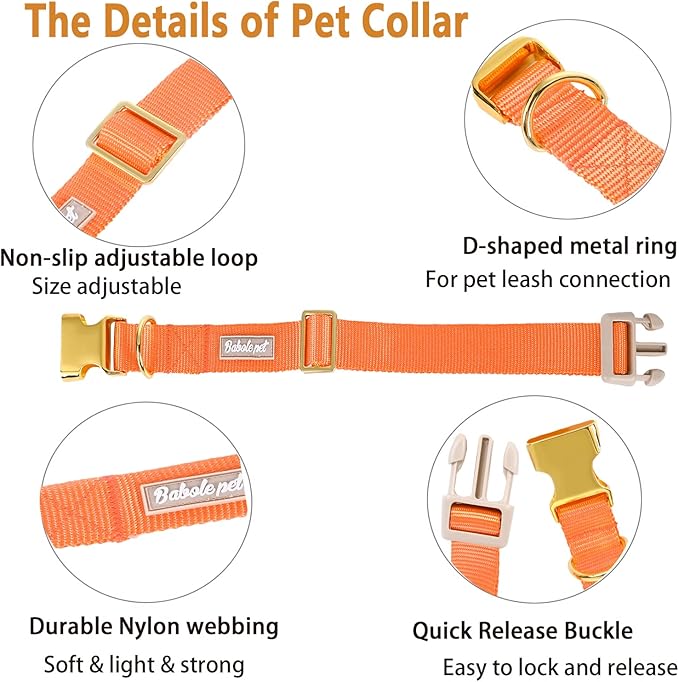 Nylon Dog Collar - Adjustable Orange Soft Webbing Dog Collars for Small Medium Large Dogs Boy Girl Puppy Collar with Safety Metal Buckle M