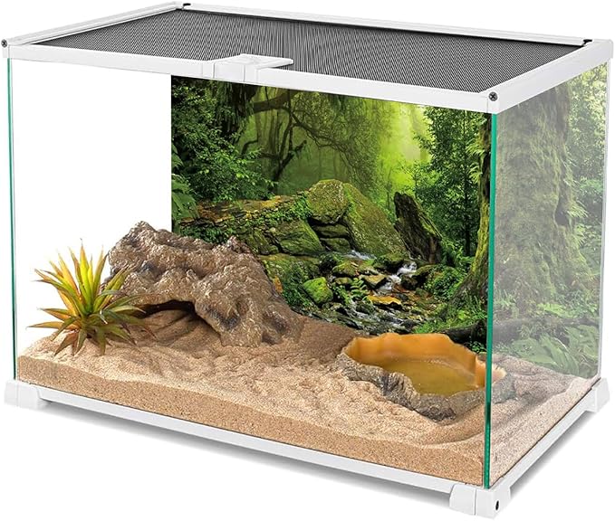 AWERT Tropical Forest Terrarium Background Stream Green Huge Tree Reptile Habitat Background Foggy Rainforest Aquarium Background 30x18 inches Polyester Background