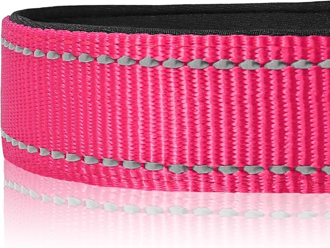 Joytale Reflective Dog Collar, Soft Neoprene Padded, Metal D-Ring, Nylon Pet Collar Adjustable for Small Dogs, Hotpink, S