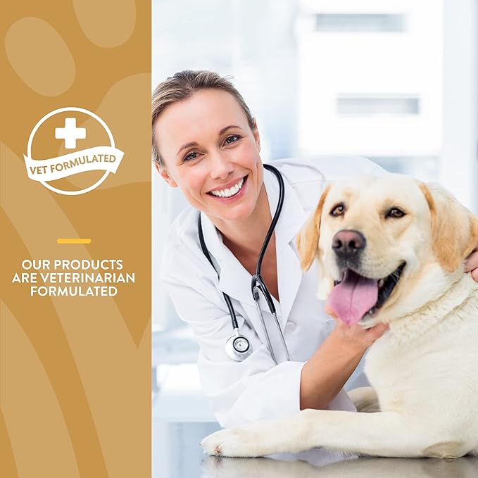 NaturVet Scoopables Omega-Gold Anchovy Oil & Salmon Supplement For Dogs and Cats - Supports Healthy Skin & Coat Plus DHA, EPA, Omega-3, & Omega-6 - Anchovy & Salmon Flavored For Dog and Cat | 11oz Bag