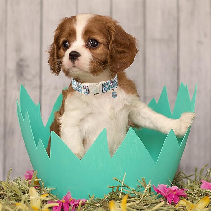 Easter Dog Collar for Small Dogs - Blue Sleepy Bunny Egg Easter Collars for Boy Girl Dogs, Adjustable Spring Holiday Pet Collars with Quick Release Buckle XS