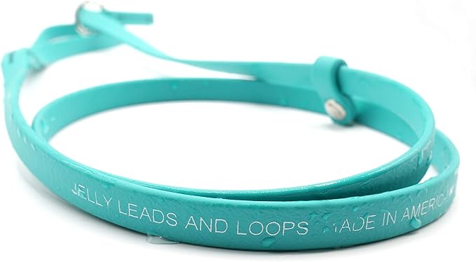 Jelly Pet Grooming Lead for Dogs | Great for Kennels, Veterinarians and Dog Grooming Salons | Biothane Leash - Easy to Clean, Waterproof & Durable Noose Loop | Made in The USA | 5/8" x 6' Royal Blue