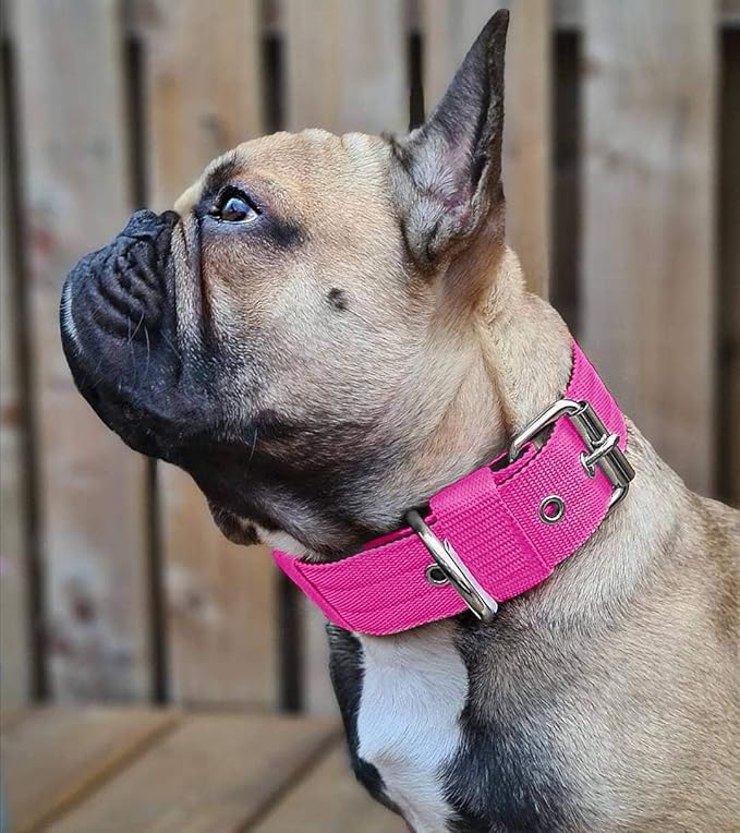 Heavy Duty Tactical Dog Collar - 1.5" Width Military Durable Thick Nylon with Adjustable Metal D Ring & Buckle Working Training K9 Collar for Medium Large Dogs (S(14"-17"), Hot Pink)