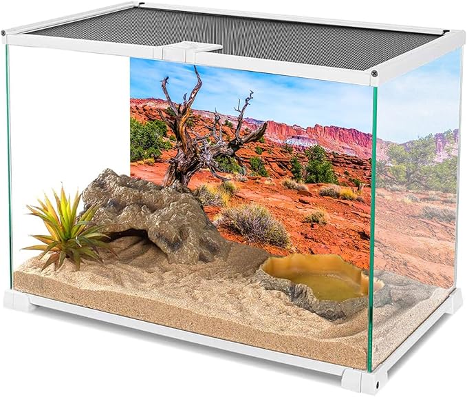 AWERT 36x20 inches Reptile Habitat Background Blue Sky Oasis Orange Desert Terrarium Background