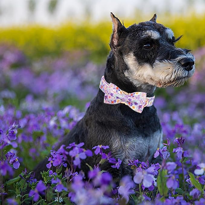 Elegant little tail Dog Collar, Rose Print Pet Collar Summer Dog Collar Durable Metal Buckle Dog Collars Cotton Pet Adjustable Dog Collars for Medium Dogs