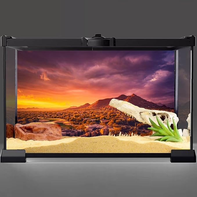 AWERT 72x16 inches Sun and Desert Terrarium Background Mountain Oasis Gobi Reptile Habitat Background Vinyl