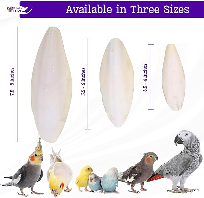 Birds LOVE Natural Cuttlebone – Premium Calcium for Cockatiel, Parrots, Tortoise, Snails, Crabs and Chinchillas - Pure Cuttlebone for Birds - Parakeet Food and Bird Treats - 4lb, Size 5.5 to 6"