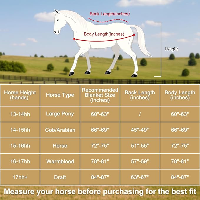 Horse Fleece Cooler, Blanket Liner - 300g Anti-Pilling Fleece, Moisture-Wicking, Cooling & Drying for Post-Workout, Bath & Travel, Prevent Overheating & Chilling Lightblue 75