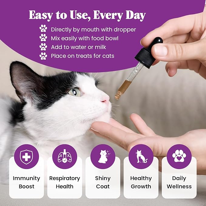 Special Breed L-Lysine for Cats & Kittens – Immune, Respiratory & Eye Health Support – Liquid Cat Supplement with Astragalus, Burdock, Atractylodes, Dangshen & Vitamins A, B1, B2, B6 – 8oz (240mL)